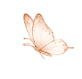 Mariposa