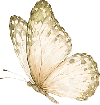 Mariposa